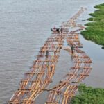 Gakkum Kehutanan gagalkan peredaran 600 batang kayu ilegal di Ketapang Kalbar