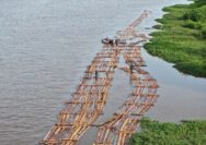 Gakkum Kehutanan gagalkan peredaran 600 batang kayu ilegal di Ketapang Kalbar