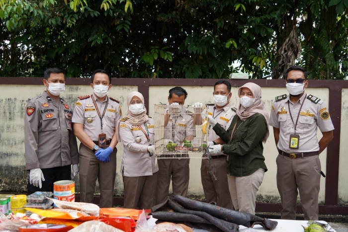 Karantina Kalbar musnahkan 59,8 kg komoditas ilegal termasuk kulit sapi endemis antraks