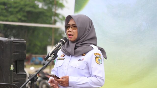 DLH Sintang ungkap dukungan PLTU