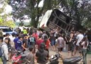 kecelakaan-bus-damri-sintang-pontianak-penyeladi-sanggau-5-april-2026