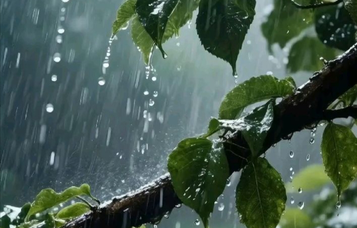 Info BMKG: Prakiraan Cuaca Kabupaten dan Kota di Kalimantan Barat Esok Hari Kamis