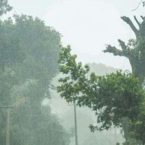 Prakiraan cuaca esok hari Mempawah