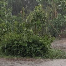 Prakiraan cuaca Kabupaten Sambas