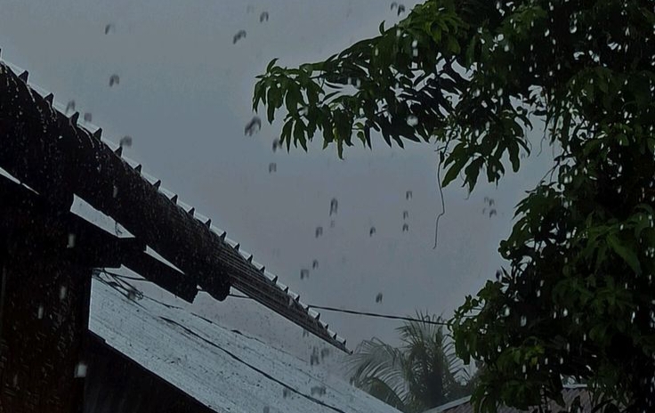 Prakiraan Cuaca Kalbar Senin 8 Juni 2026, Kapuas Hulu Diguyur Hujan Sedang Besok