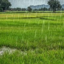 Prakiraan Cuaca Kawasan Perbatasan RI-Malaysia Senin 15 Juni 2026, Jagoi Babang Berpotensi Petir