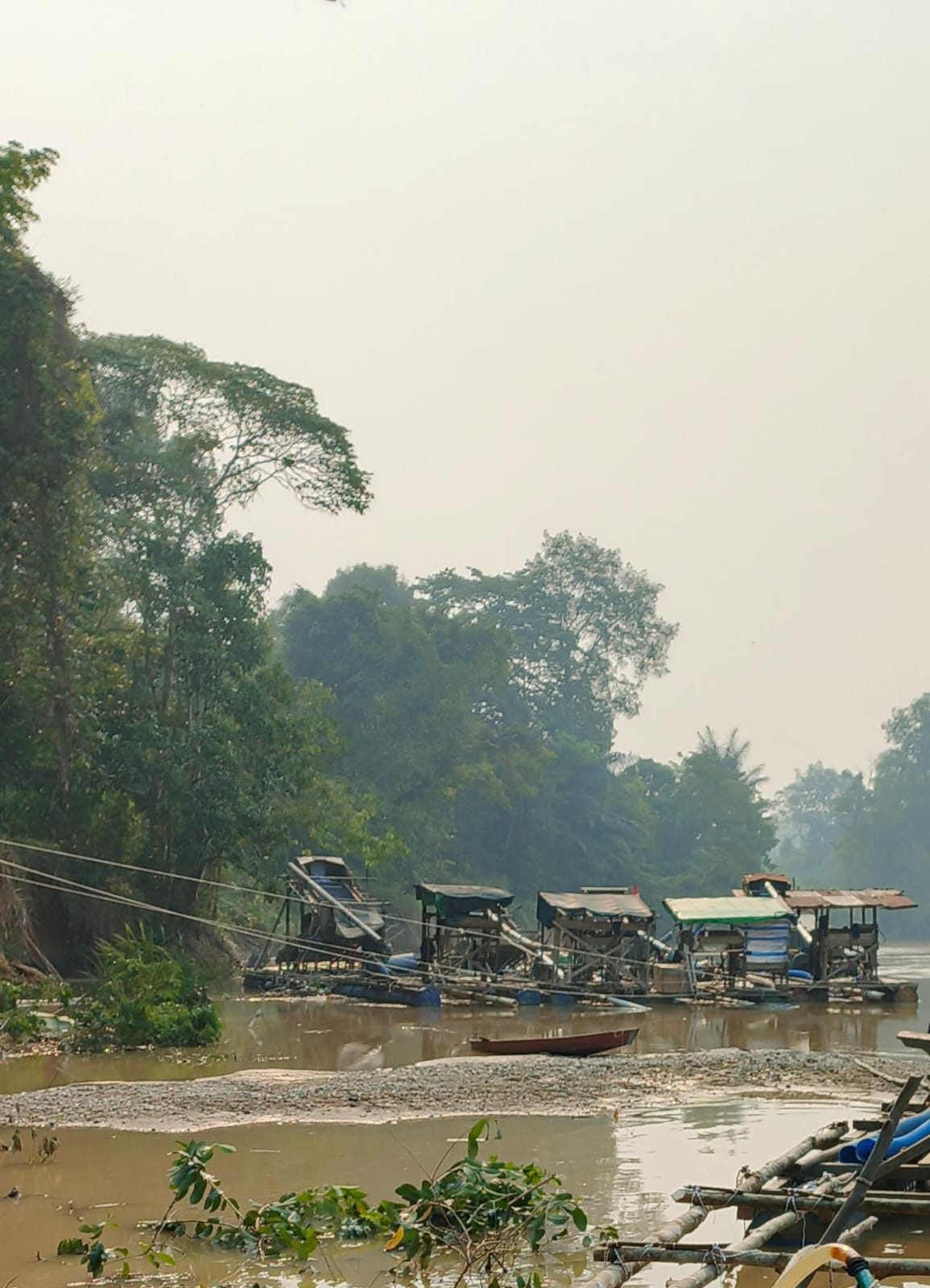 PETI Kembali Marak di Sungai Sekadau, Warga Minta Aparat Segera Bertindak